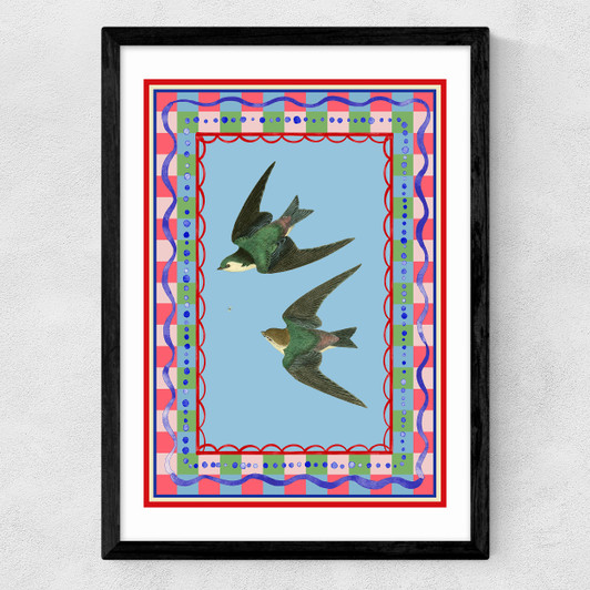 Birdframe Swallows Medium Black Frame