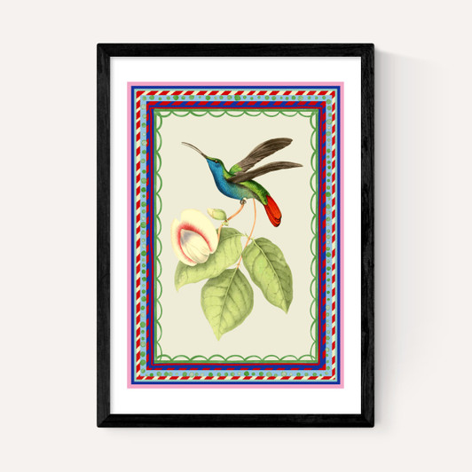 Birdframe Hummingbird