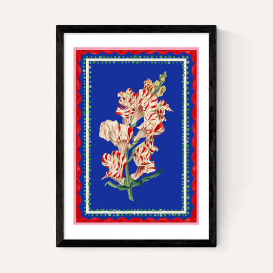 Carnival Snapdragon