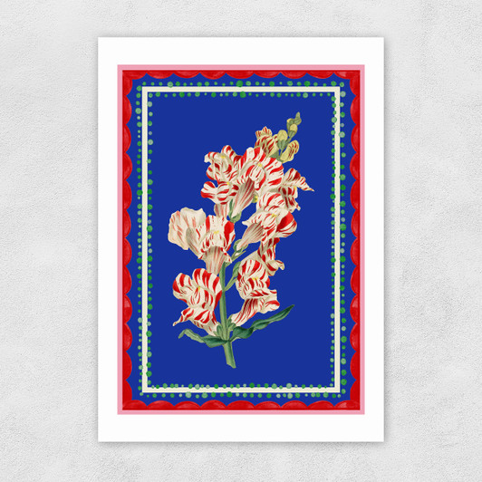 Carnival Snapdragon Unframed Print
