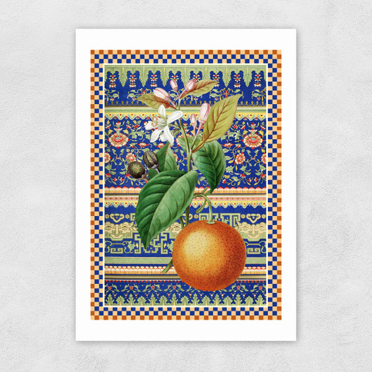Flora & Pattern IV Unframed Print