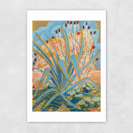 Agave Plant Unframed Print