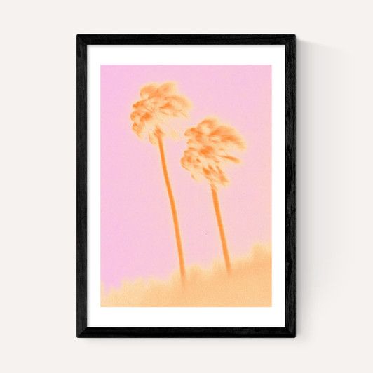 Palms I