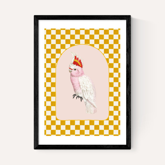 Check Out This Cockatiel