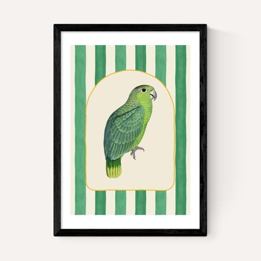 Stripey Green Parrot