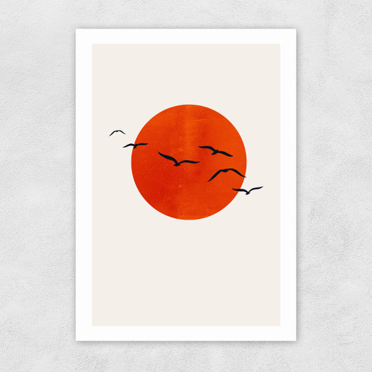 A Sunny Day