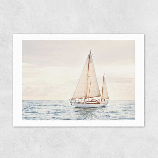 Sailboat Unframed Print