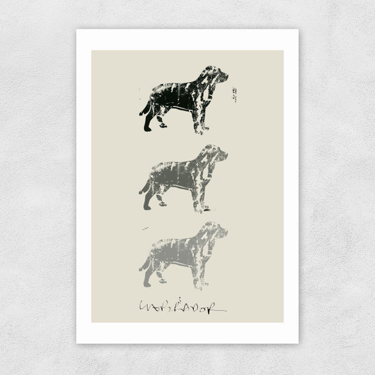 Lab II Unframed Print