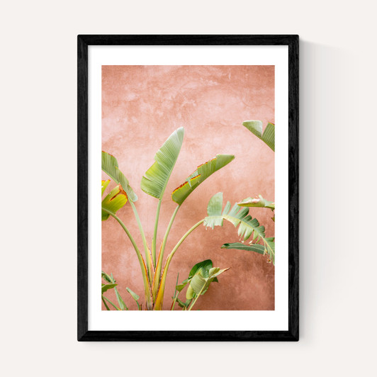 Marrakech Palms