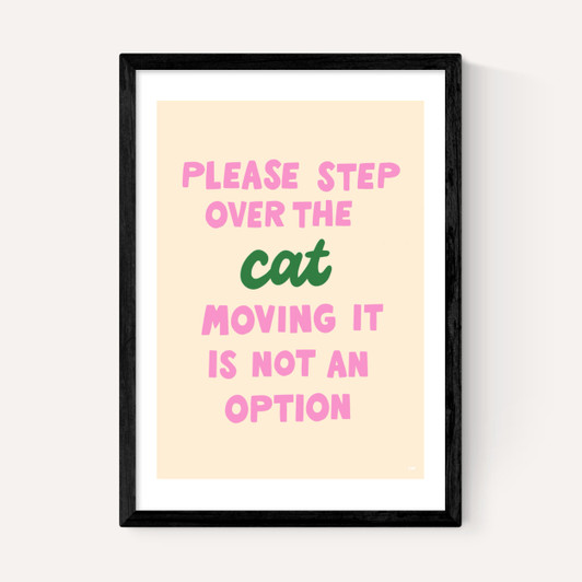 Step Over The Cat