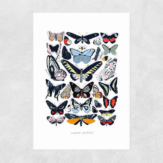 Butterflies Unframed Print
