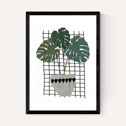 Monstera