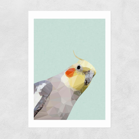 Cockatiel