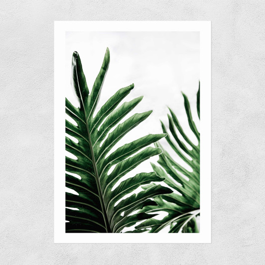 Leaves 1 Unframed Print