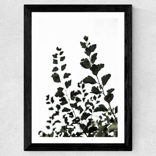 Leaves 4 Wide Black Frame