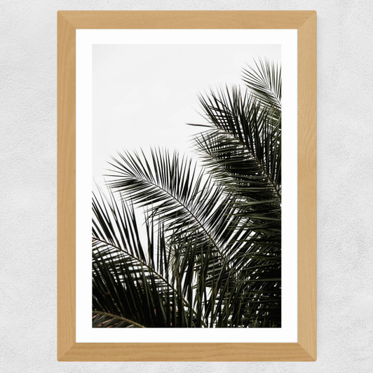 Palm Leaves 3 Wide Oak Frame
