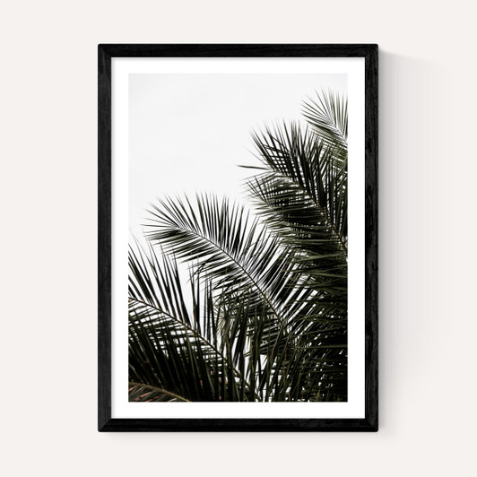 Palm Leaves 3