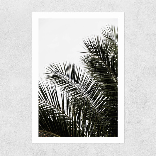 Palm Leaves 3 Unframed Print