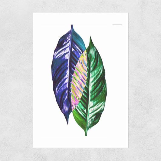 Two Leaves Unframed Print