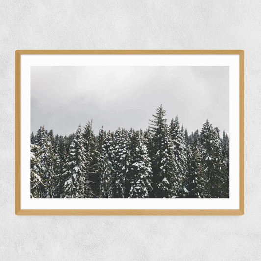 Snow Trees Narrow Oak Frame
