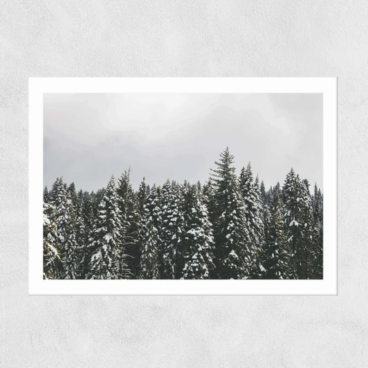 Snow Trees