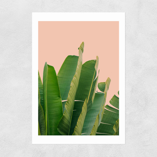 Banana Leaves Unframed Print