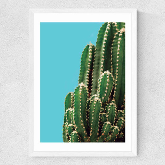 Green Cactus Medium White Frame