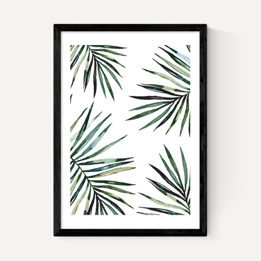 Ferns