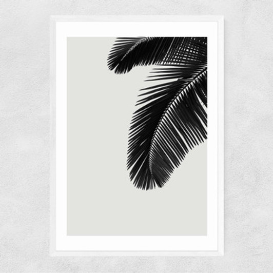 Ferns by Rafael Farias Narrow White Frame