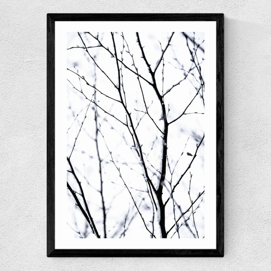 Winter Silhouettes 2 Medium Black Frame
