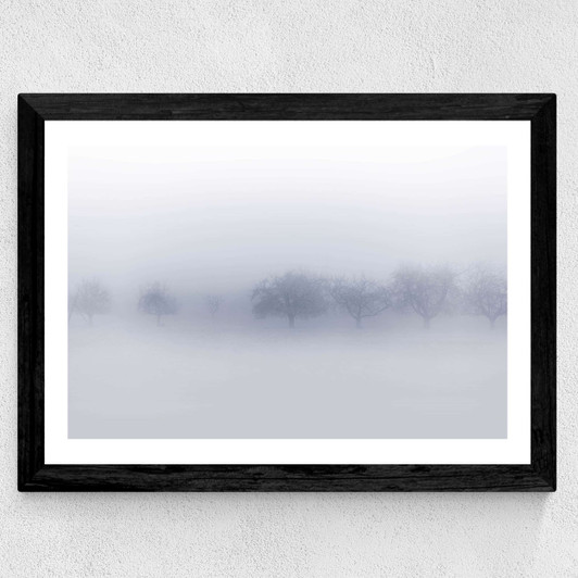 Winter Trees Wide Black Frame