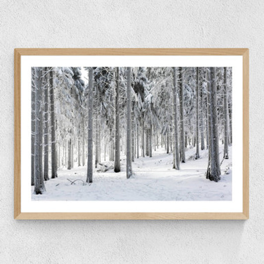 Winter Trees 2 Medium Oak Frame