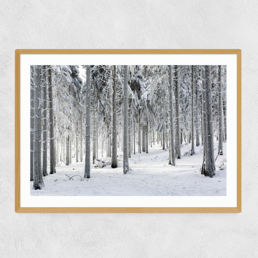 Winter Trees 2 Narrow Oak Frame