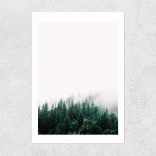 Forest Mist