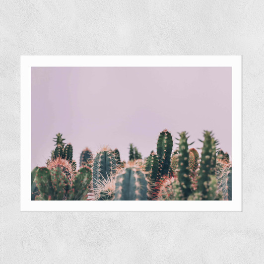 Cactus Garden Unframed Print