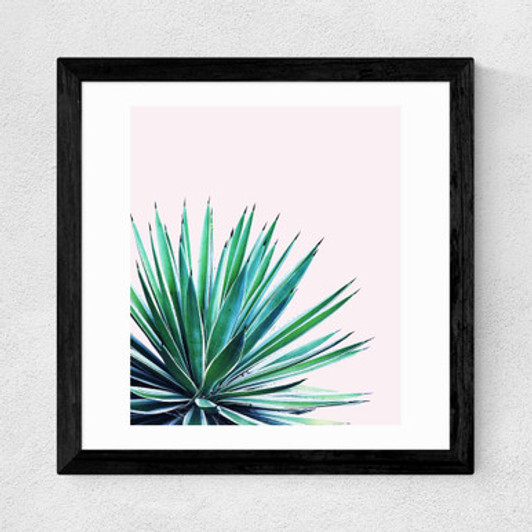 Agave Love  Wide Black Frame