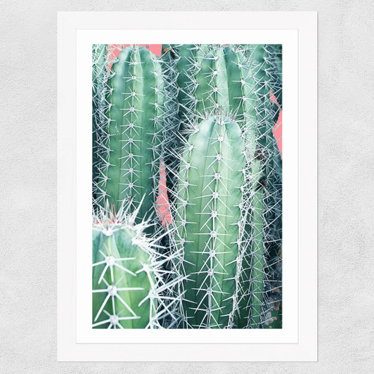 Cactus up Close Wide White Frame