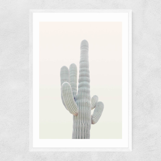 Desert Cactus by Rafael Farias Narrow White Frame