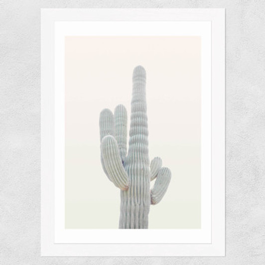 Desert Cactus by Rafael Farias Wide White Frame