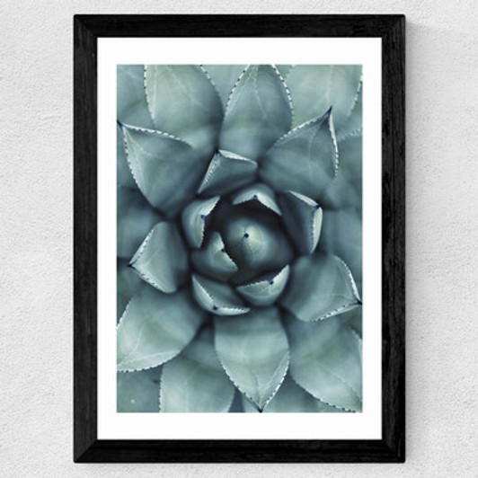 Agave II Wide Black Frame