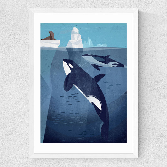 Orcas by Dieter Braun Medium White Frame