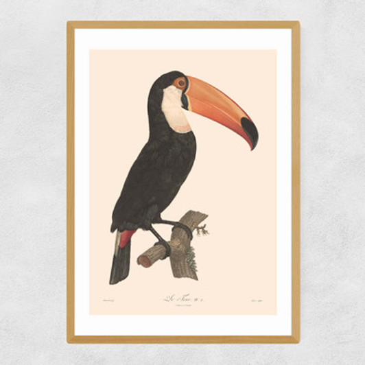 Toucan by Aster Narrow Oak Frame