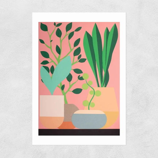 Plants and Pottery