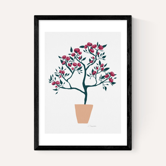 Potted Roses