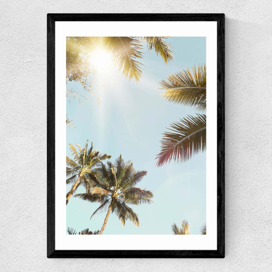 Sunny Medium Black Frame