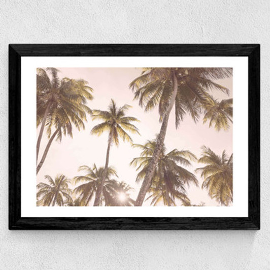 Palm Trees Wide Black Frame
