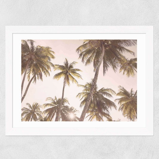 Palm Trees Wide White Frame