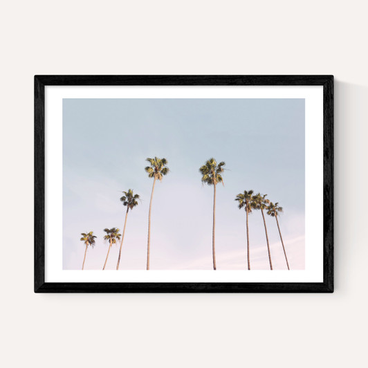 California Vibes