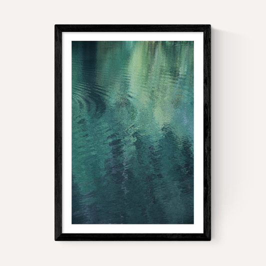 Forest in the Lake