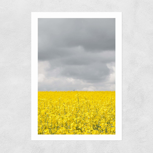 Grey and Yellow Fields Unframed Print